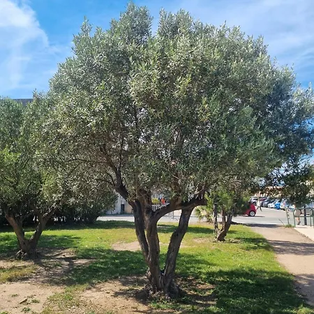 T4 Pro Et Famille - - Base Nature - A Pied - Parking - Commerces Apartment
